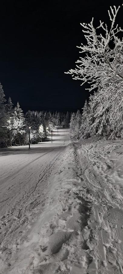 Orlicka Apartament Duszniki Zdrój Exteriér fotografie